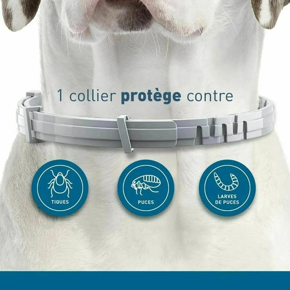 Pet Flea and Tick Collar for Dogs